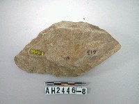 藏品(石料)的圖片